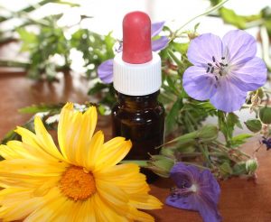 BACH Flower Remedies - flowers and tincture bottle
